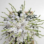 تاج گل کد El5089 - Image 4