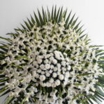 تاج گل کد EL5105 - تصویر 3